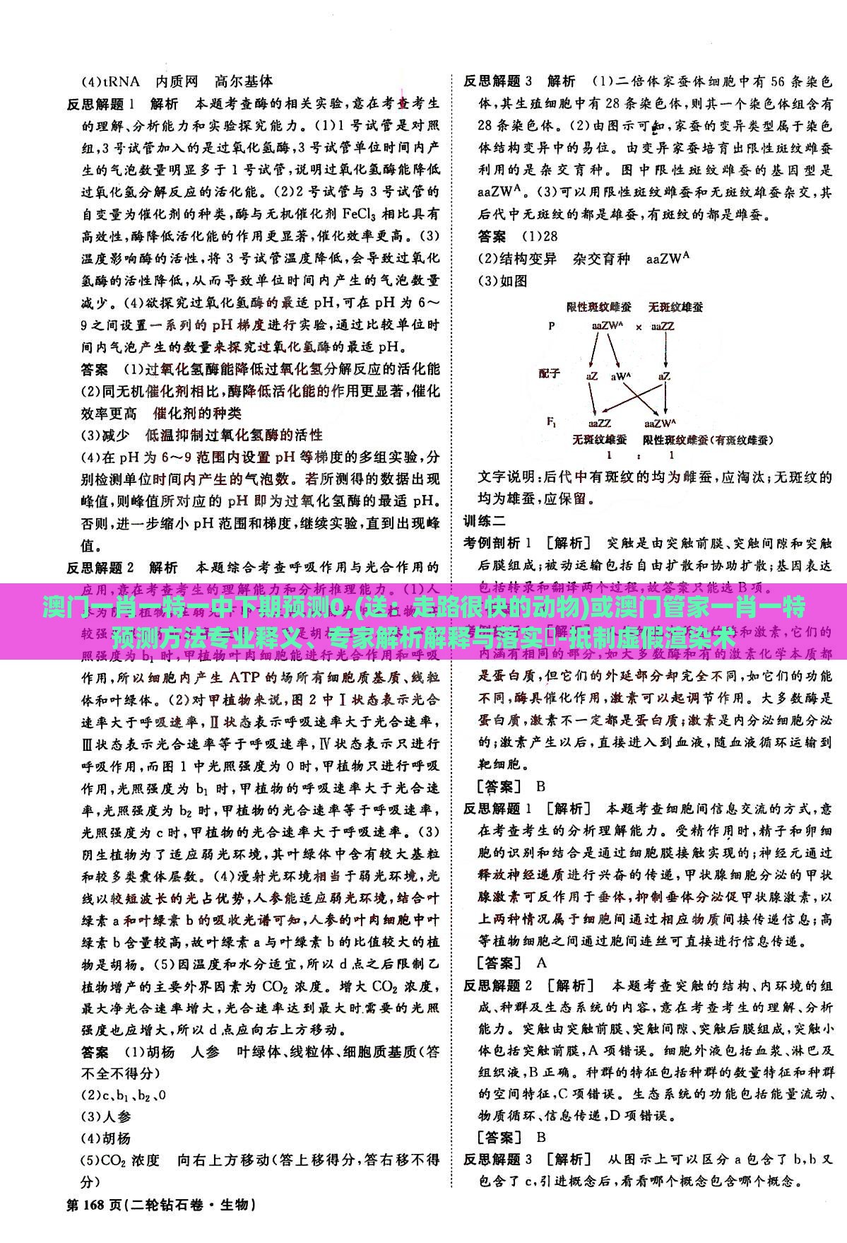 澳门一肖一特一中下期预测0,(送：走路很快的动物)或澳门管家一肖一特预测方法专业释义、专家解析解释与落实​-抵制虚假渲染术