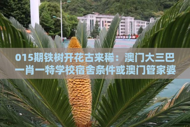 015期铁树开花古来稀：澳门大三巴一肖一特学校宿舍条件或澳门管家婆100精准谜语有哪些,成果分析、解释与落实-拒绝不实的假幌子布