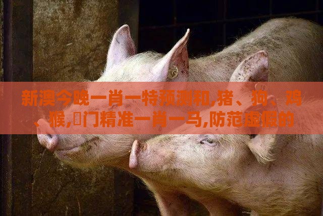 新澳今晚一肖一特预测和,猪、狗、鸡、猴,澚门精准一肖一马,防范虚假的诱饵-安全解答、专家解析解释与落实​