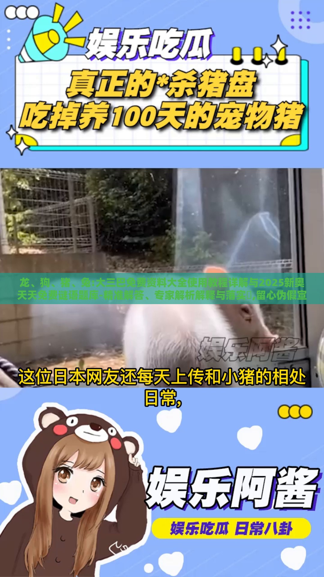 龙、狗、猪、兔:大三巴免费资料大全使用教程详解与2025新奥天天免费谜语题库-精准解答、专家解析解释与落实​,留心伪假宣传危害